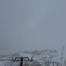 에이스 짐(ACE GYM) | 니세코 정상 가는법 : 그랜드히라후 에이스곤돌라 , 2인리프트 ACE #3 #4 PAIR / 안누푸리 넘어가기 1인...