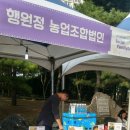 구지서로 이미지