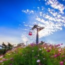 청길강변로 이미지