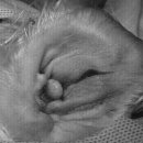 미사 센트럴 동물병원 이미지