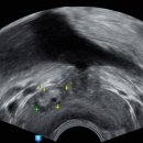 정한수비뇨기과의원 이미지