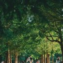 메종동물병원 이미지