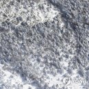 제주청소대통령 이미지