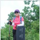 어비산 정상(829m) 이미지