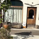 기후미식 | 성수동 기후 – 계절이 담긴 한식·일식 오마카세, 분위기와 건강을 모두 즐기는 특별한 미식 공간