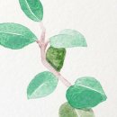 윤희공방 이미지