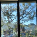 이놈애커피 이미지