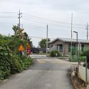 국가유산체험학습지도사 이미지