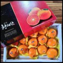 진가농장 이미지