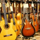 기타 집중레슨 이미지