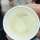 농업회사법인(주) 정푸드코리아 | K-푸드 발효문화대전(with 양재 벚꽃, 윤봉길의사기념관)