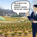 안치비