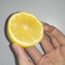 나폴리아노 이미지