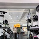 뉴로트레이닝센터 | 직장인 주목! 뇌파가 바로 바뀐다고? [김경훈박사의 뉴로트레이닝센터 서울본부] 자세교정 통증관리 찐후기