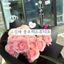 스튜디오로즈데이 네이버블로그
