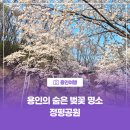 정평공원 이미지