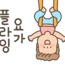 숲플라잉요가