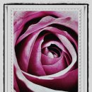 다양한 버섯을 활용한 건강한 요리 이미지