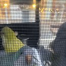 모란동물병원 | 퀘이커 앵무새 특수동물병원 진료 후기, 꼬질한 털이 알고보니 바이러스성 질병?! + 앵무새 진료 가능...