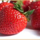 동대문한의원 이미지