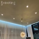 태닝데이