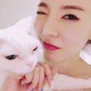 써니도그 이미지