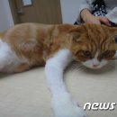 예쁜노리 이미지