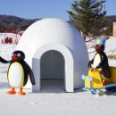 휘닉스 실내수영장 이미지