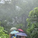 의령 한우산 (제263차) 이미지