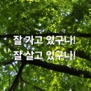 포티러브 하우스 이미지