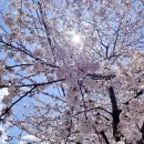 통영법조타운 이미지