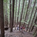 11월29일,Mail box peak via loop trail. 이미지