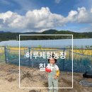 조동농장 이미지
