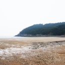 백리포 해수욕장 이미지