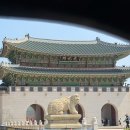 행복한정.미소서울 | 서울가볼만한곳 광화문카페 팀홀튼 여름 프리퀀시 신메뉴 9종 솔직 맛 후기