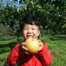 지환농장 이미지