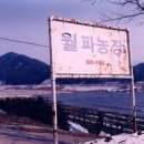 월파농장 이미지