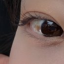 아주 | 인천 간석동속눈썹펌 추천 아주아래쉬 속눈썹펌 후기