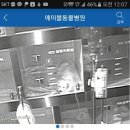 에이블동물병원 이미지
