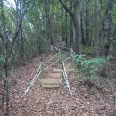 신월1리 이미지