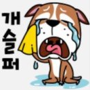 개밥그릇 이미지
