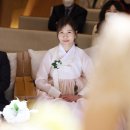 플레타플레르 이미지
