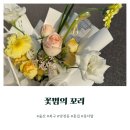 울산 : 울산 꽃집 북구 양정동 꽃범의꼬리 꽃다발 꽃바구니 추천