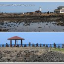 하우목동항 이미지