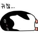 짱짱오락실 이미지