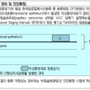 한국표준질병사인분류(KCD) 제정 및 개정 연혁구분 이미지