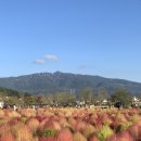 거북산 등산로 입구 이미지