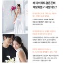 결혼 준비 시작 다이렉트 결혼준비 박람회 후기 @ 비동행 플래너 가성비 결혼식을 위해
