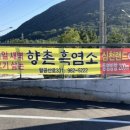 향촌흑염소대구팔공산점 이미지