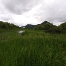 화포천마을 이미지